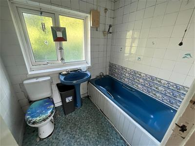 Picture 11